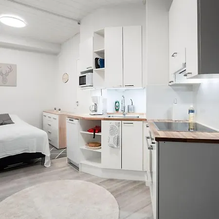 Charming Spacios At Kallio * Helsinki