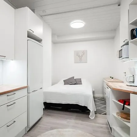 Apartment Cozy Roomy Flat Next To Tram Stop @ Kallio Helsinki