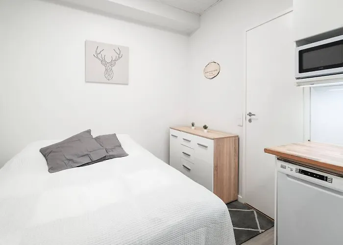 Cozy Roomy Flat Next To Tram Stop @ Kallio *