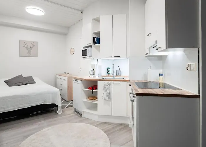 Cozy Roomy Flat Next To Tram Stop @ Kallio * Helsinky
